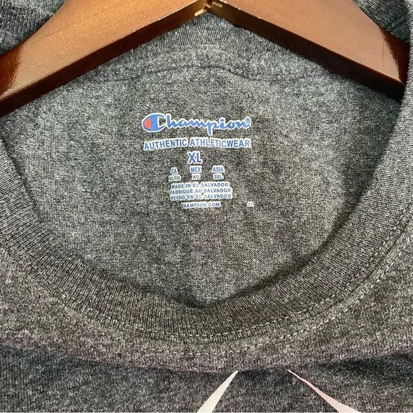 Champion Middle Tennessee State University MTSU Football Graphic T-Shirt XL - Picture 5 of 7